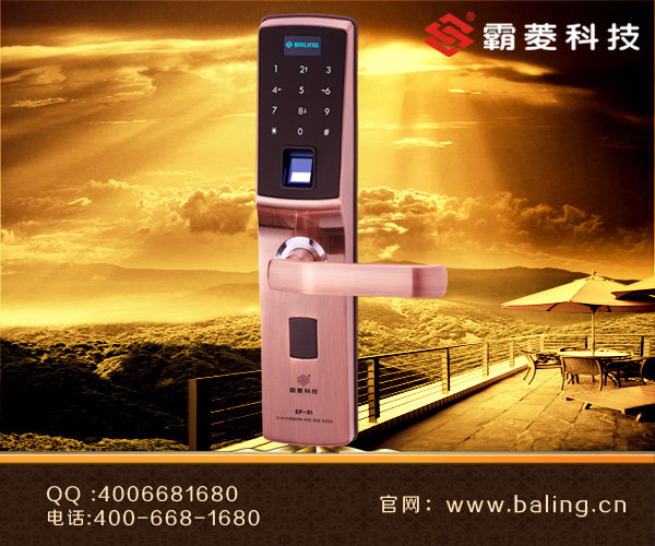 门业图片-指纹锁免去带钥匙的麻烦和丢钥匙的危险,轻轻一按{六安指纹密码锁}即可开门EF31图片