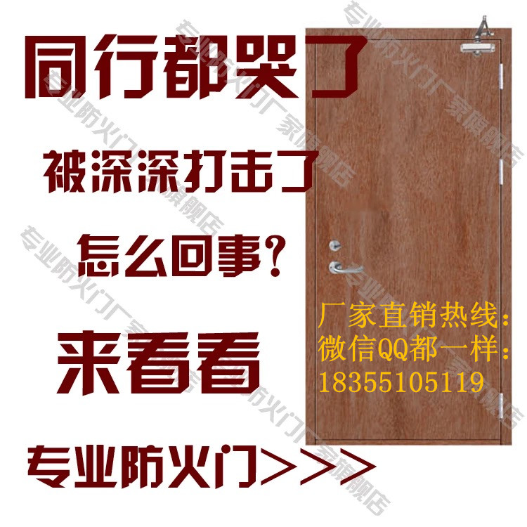 门业图片-木质防火门合肥甲级防火门厂家，量大价低甲乙丙图片