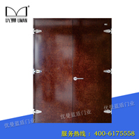门业图片-隔音门窗隔音门T301图片