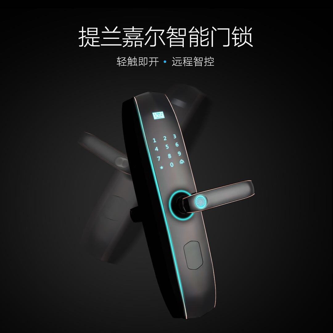 门业图片-指纹锁厂家直销防盗门铜门入户门锌合金高档指纹锁智能刷卡锁五合一拉手执手锁TS8818图片