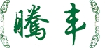 门业图片-腾丰门业TF-6001图片